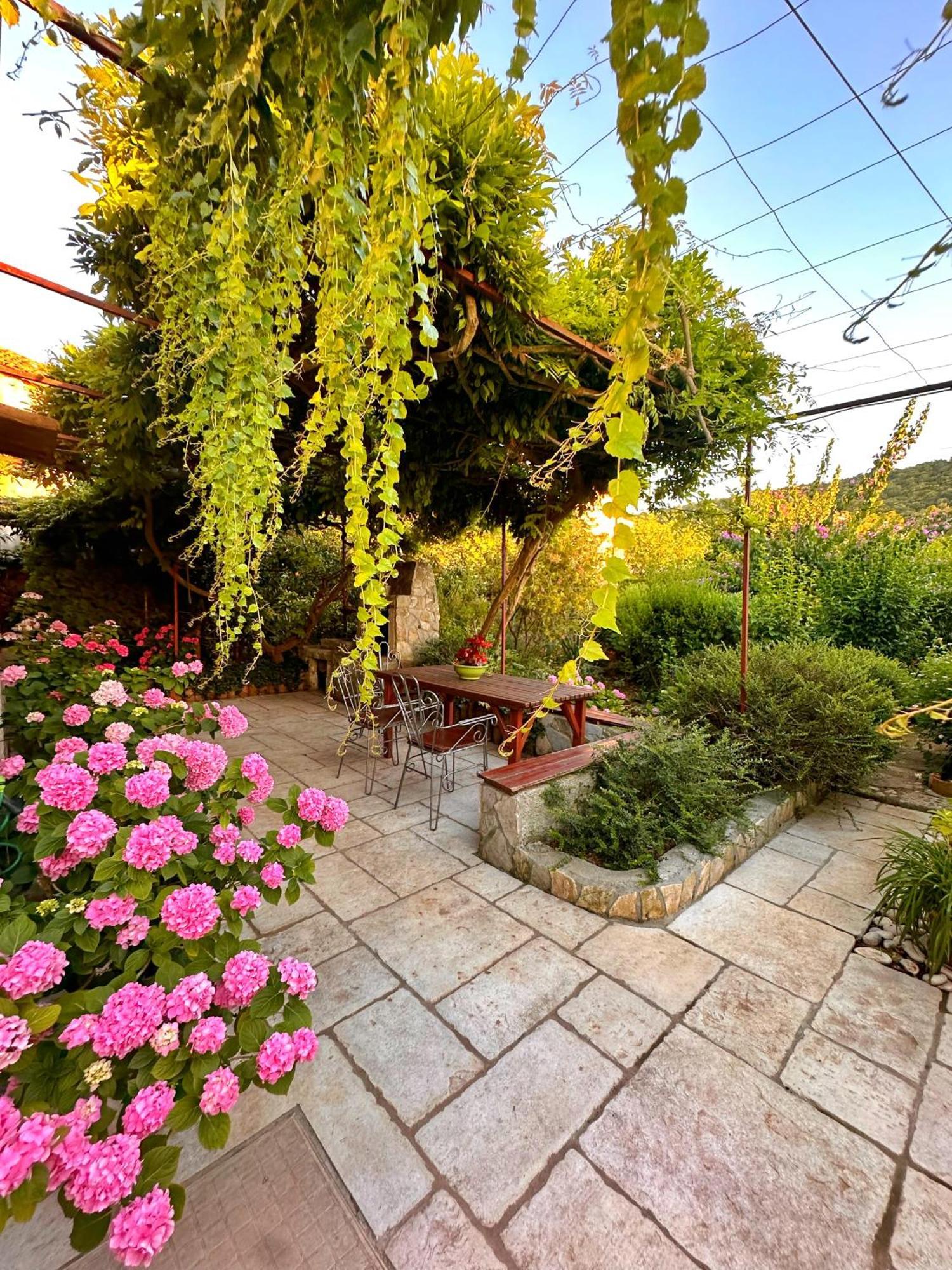 Apartments Cvita Veli Lošinj المظهر الخارجي الصورة