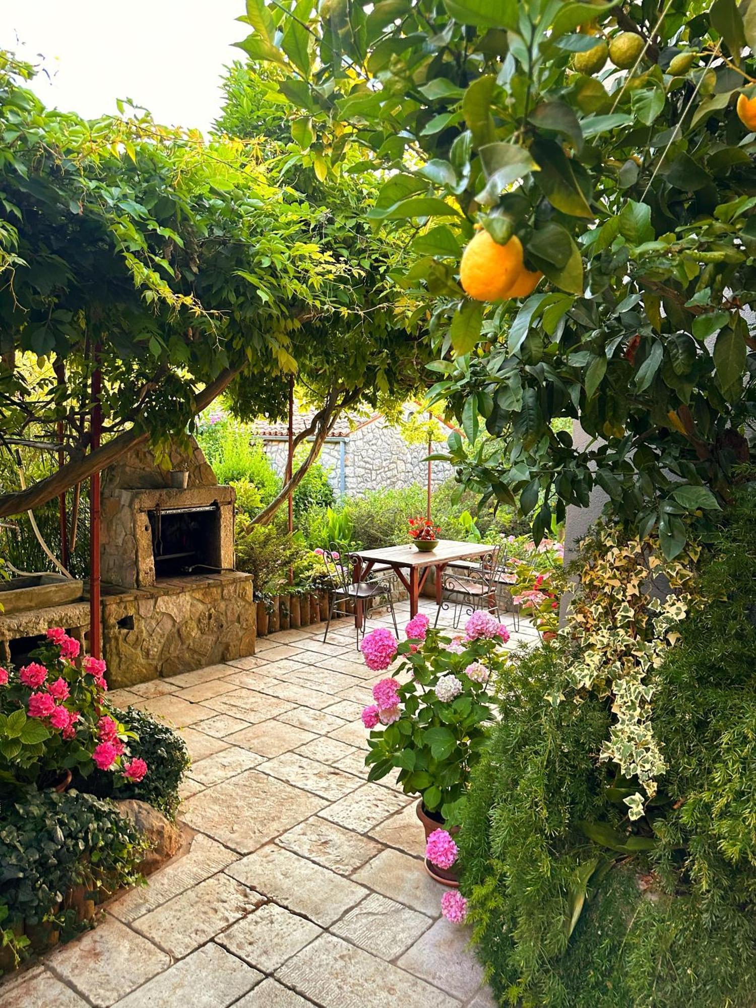 Apartments Cvita Veli Lošinj المظهر الخارجي الصورة