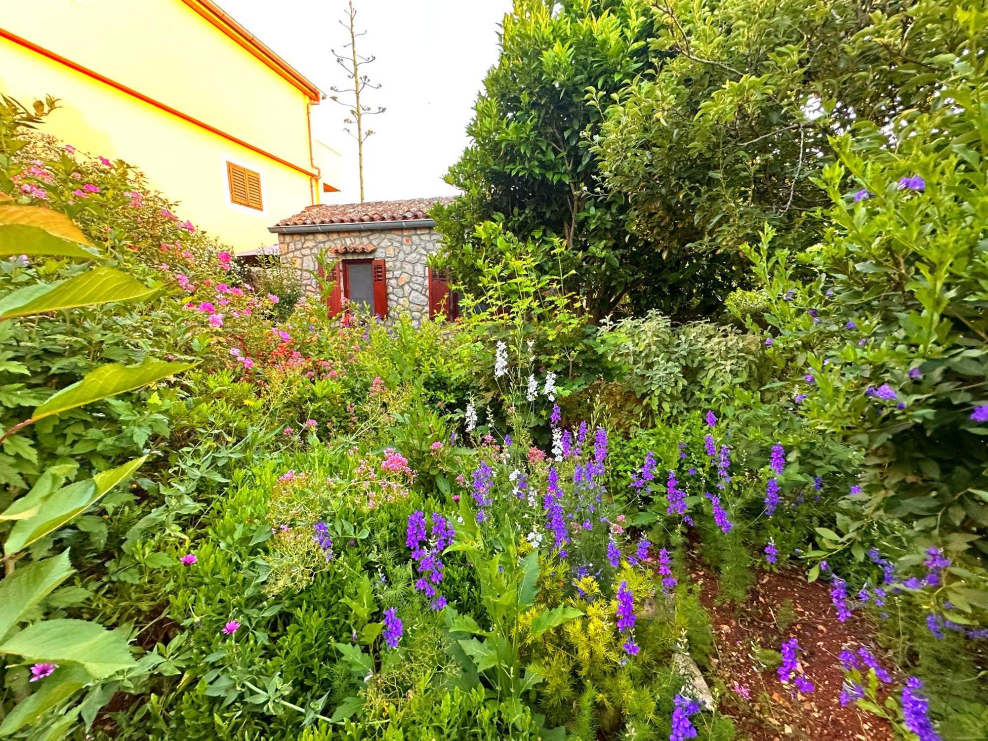 Apartments Cvita Veli Lošinj المظهر الخارجي الصورة