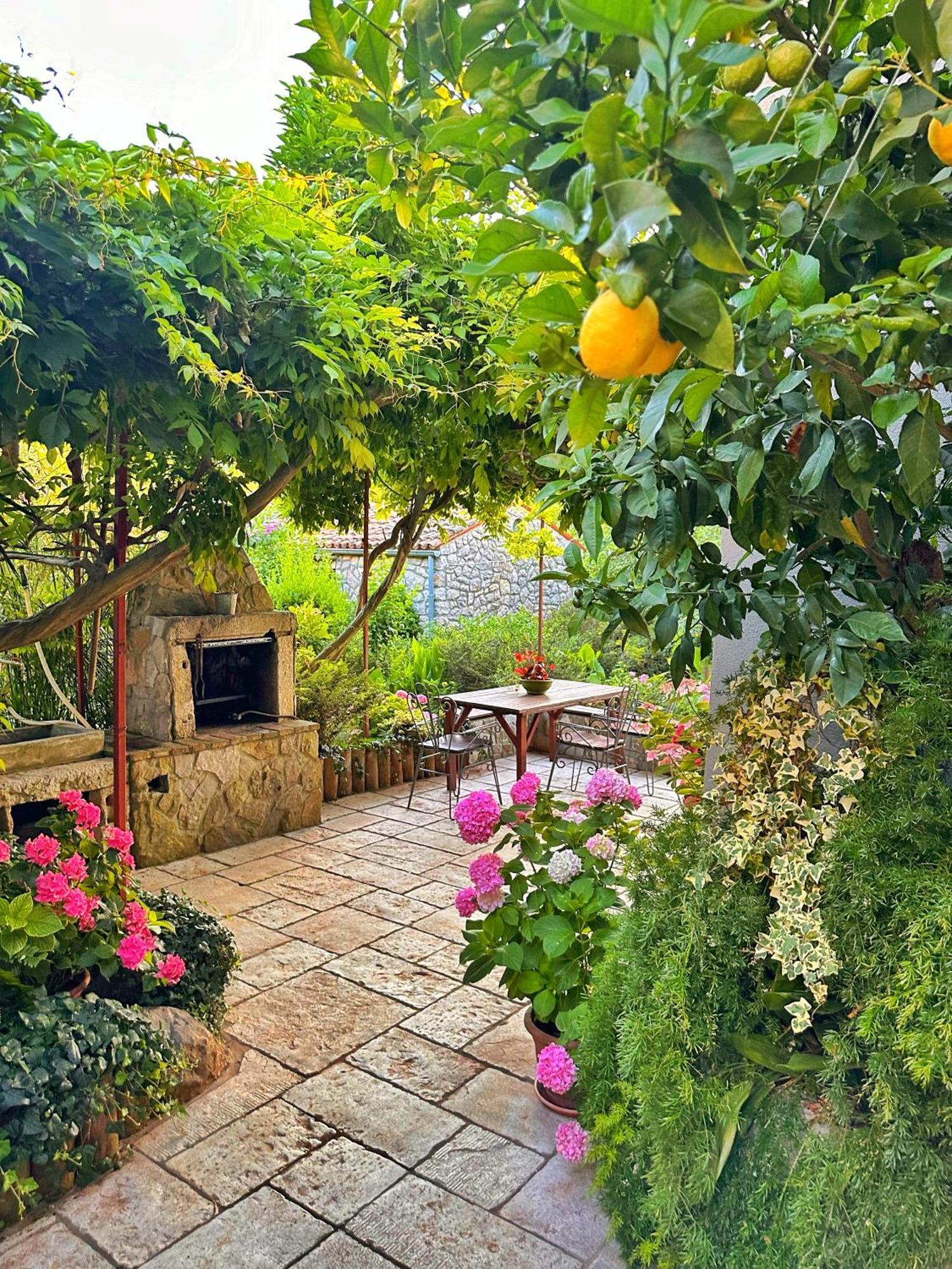 Apartments Cvita Veli Lošinj المظهر الخارجي الصورة