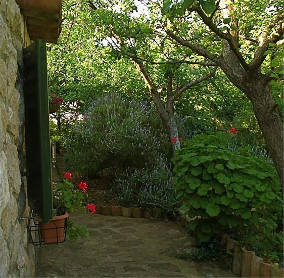 Apartments Cvita Veli Lošinj المظهر الخارجي الصورة